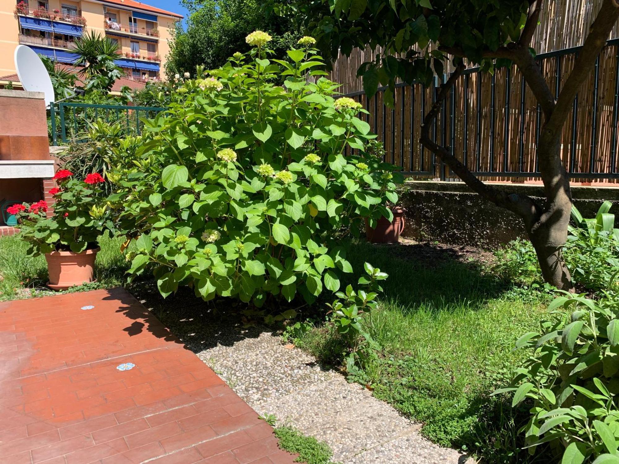 Il Giardino Dei Limoni Apartment Chiavari Bagian luar foto